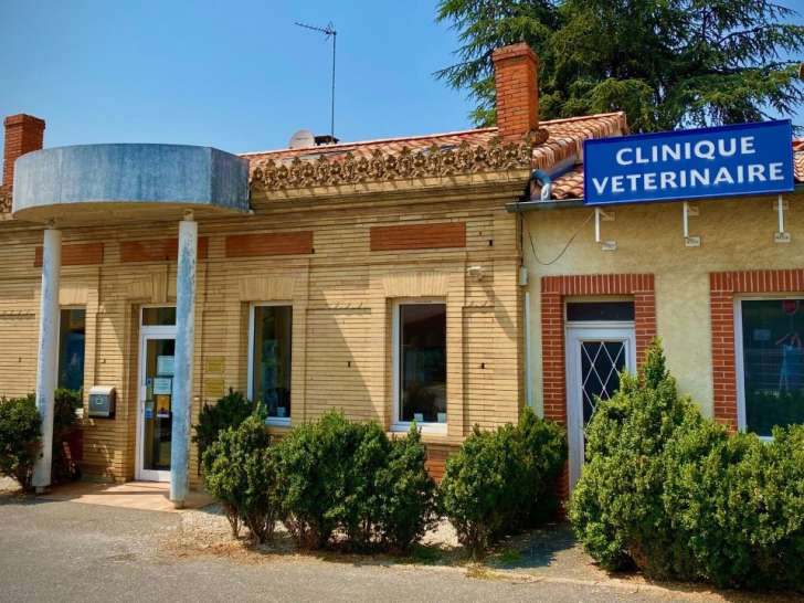 Clinique vétérinaire des Açores