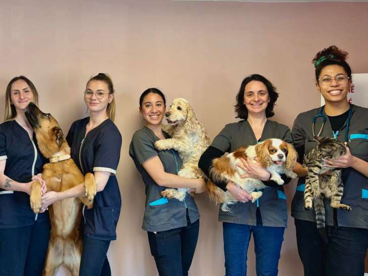 Clinique v&eacute;t&eacute;rinaire Androm&egrave;de