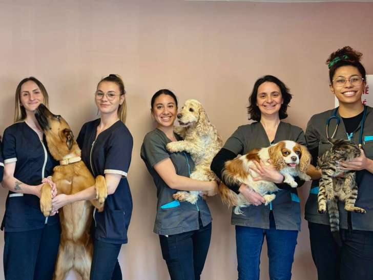 Clinique vétérinaire Andromède