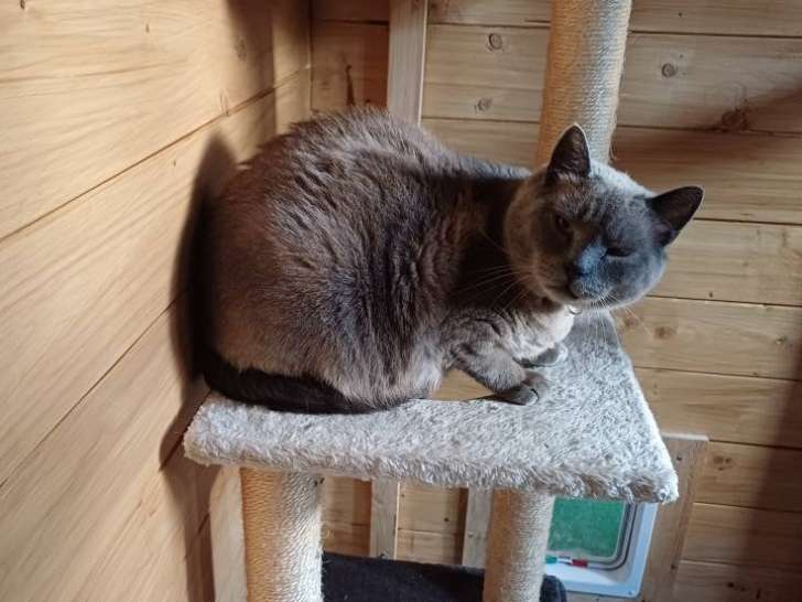 Passion Animaux 58/18