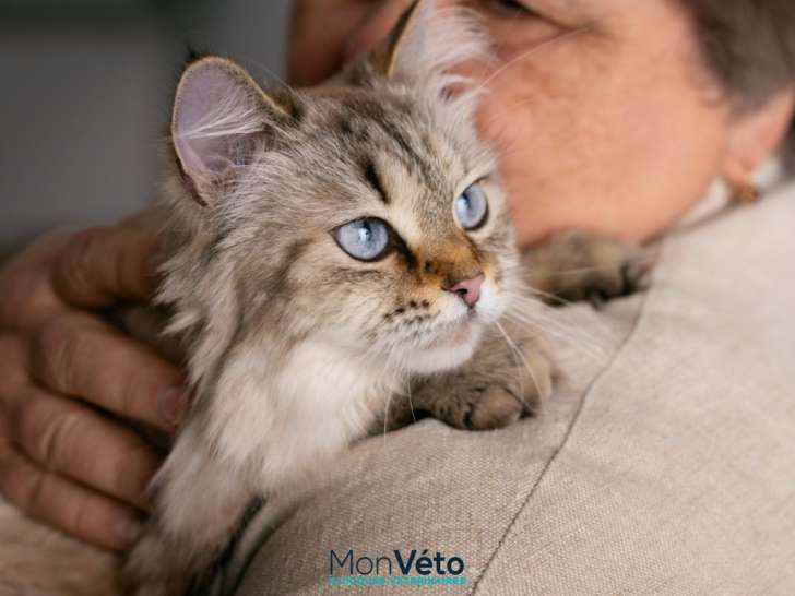 Clinique vétérinaire La Marseillane