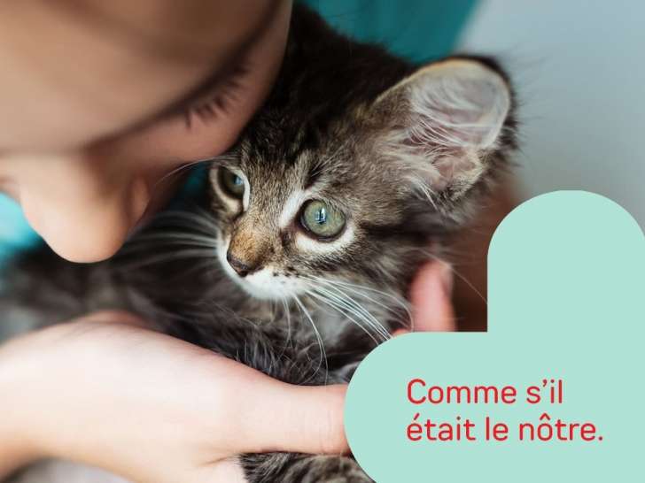 Vet et Nous