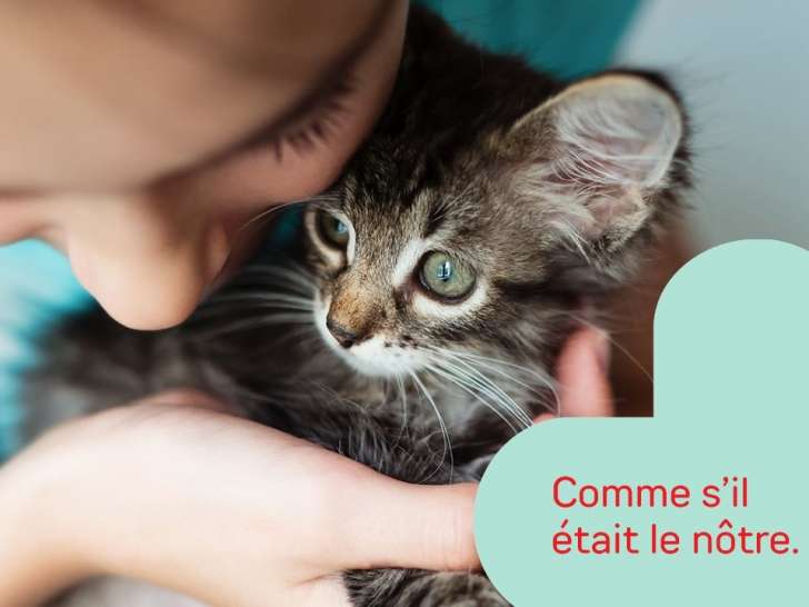 Vet et Nous