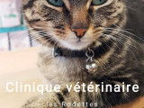 Clinique vétérinaire Les Rodettes