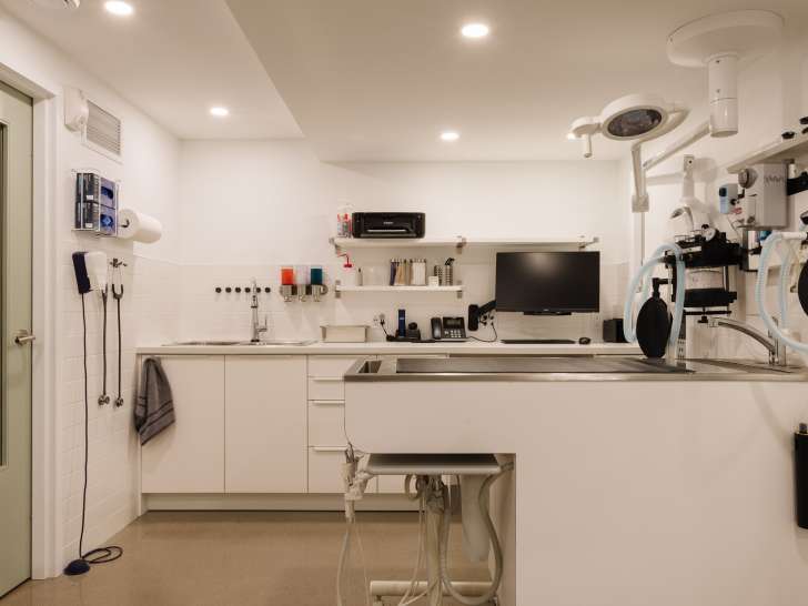 Clinique Vétérinaire du Vieux-Rosemont