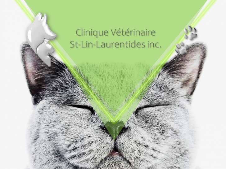 Clinique vétérinaire Saint-Lin-Laurentides