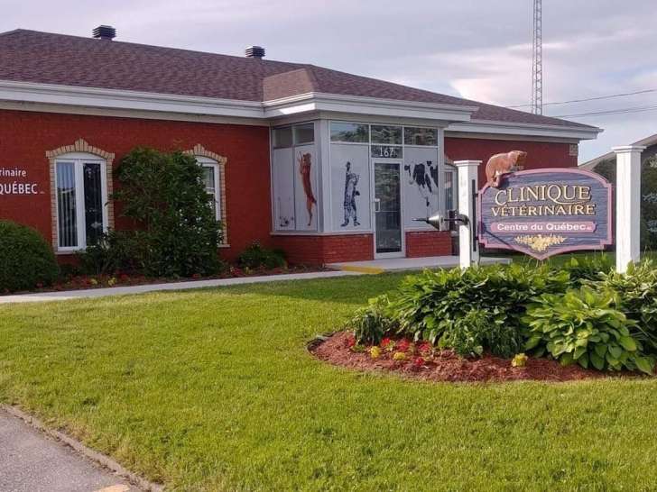 Clinique vétérinaire Centre-du-Québec