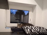 Au Chat Perché