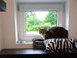 Au Chat Perché