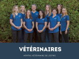 Clinique vétérinaire de l'Estrie