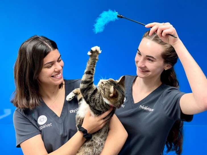 Clinique veterinaire de la Mennais