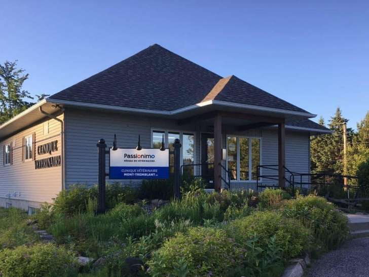 Clinique vétérinaire Mont-Tremblant