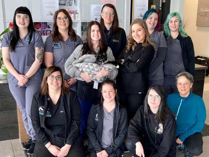 Clinique vétérinaire Beauharnois