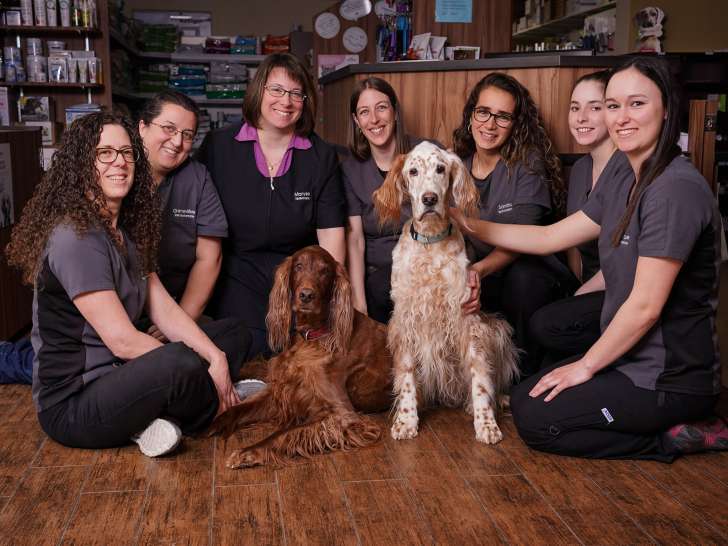 Clinique vétérinaire St-Tite