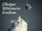 Clinique vétérinaire Graham