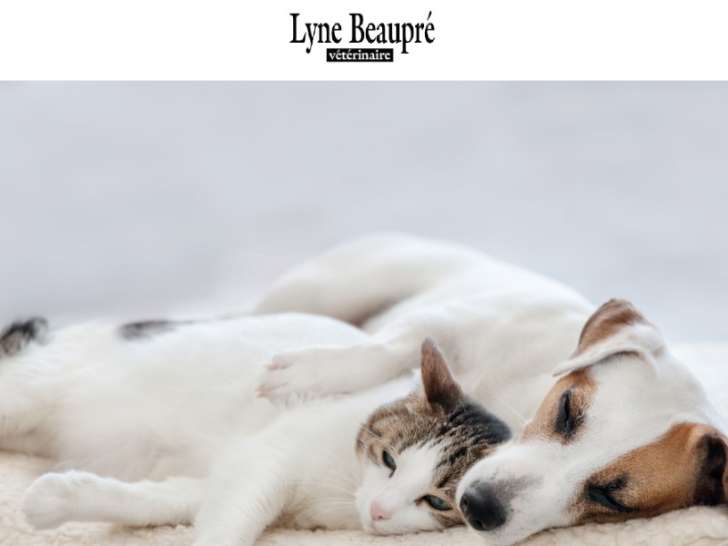 Clinique vétérinaire Lyne Beaupré