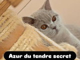 Du Tendre Secret