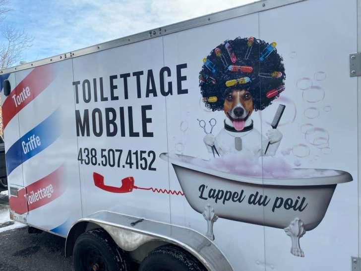 L'appel du poil