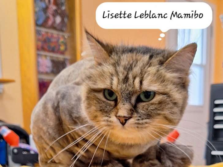 Mamibo