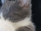 Dans ton regard