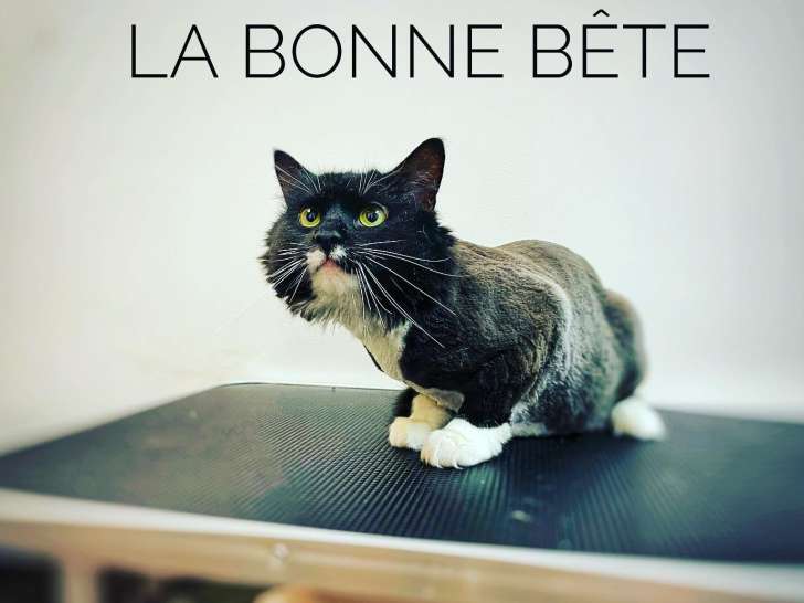 La Bonne Bête