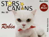 Stars Canins