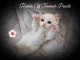 Theonie's Pearls