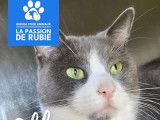 La passion de Rubie