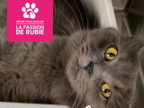 La passion de Rubie