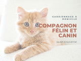 Compagnon Félin et Canin