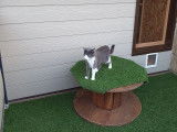 Patoune et Compagnie