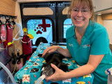 Vetlife